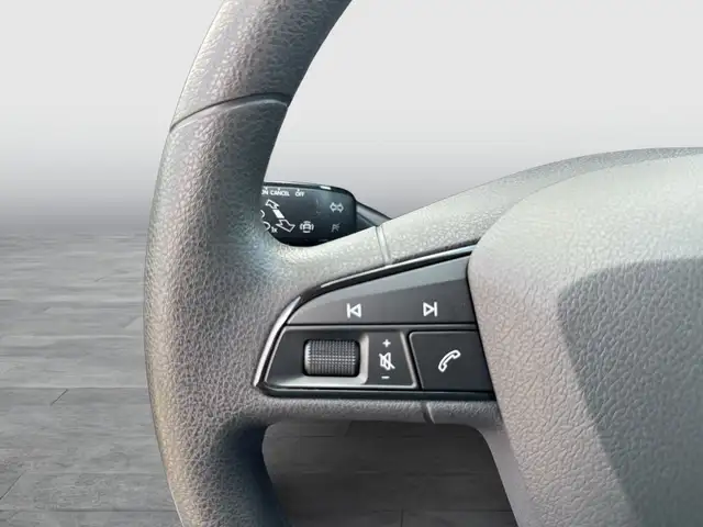 Seat Ibiza view 11