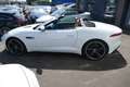 Jaguar F-Type Cabriolet 3.0 V6 Aut. S Leder Xenon Navi Rückfa Weiß - thumbnail 5