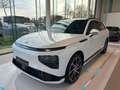 Xpeng G9 New AWD Performance Weiß - thumbnail 1
