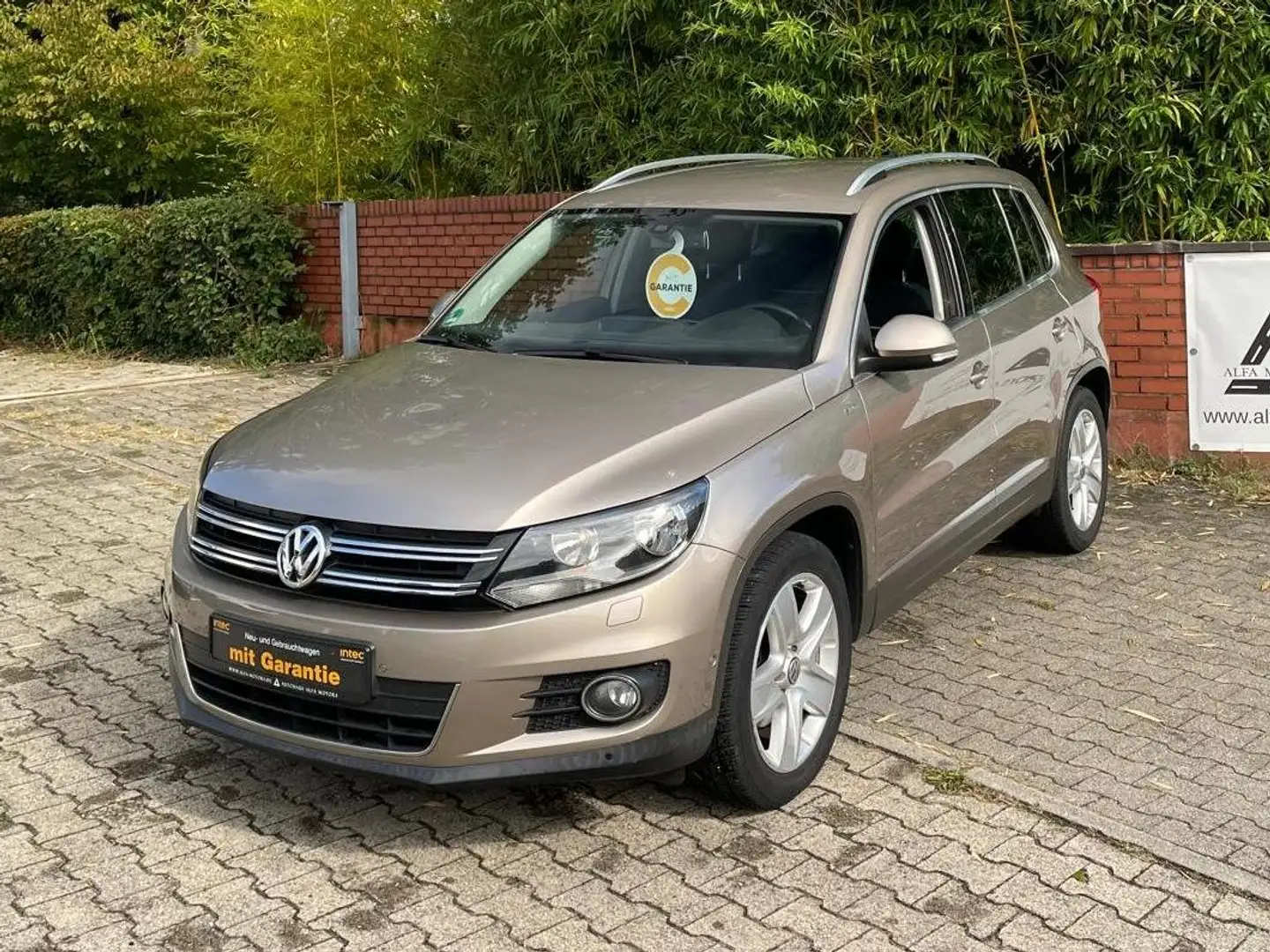 Volkswagen Tiguan Cup Sport // Automatik // TÜV und Inspek. neu / Beige - 1
