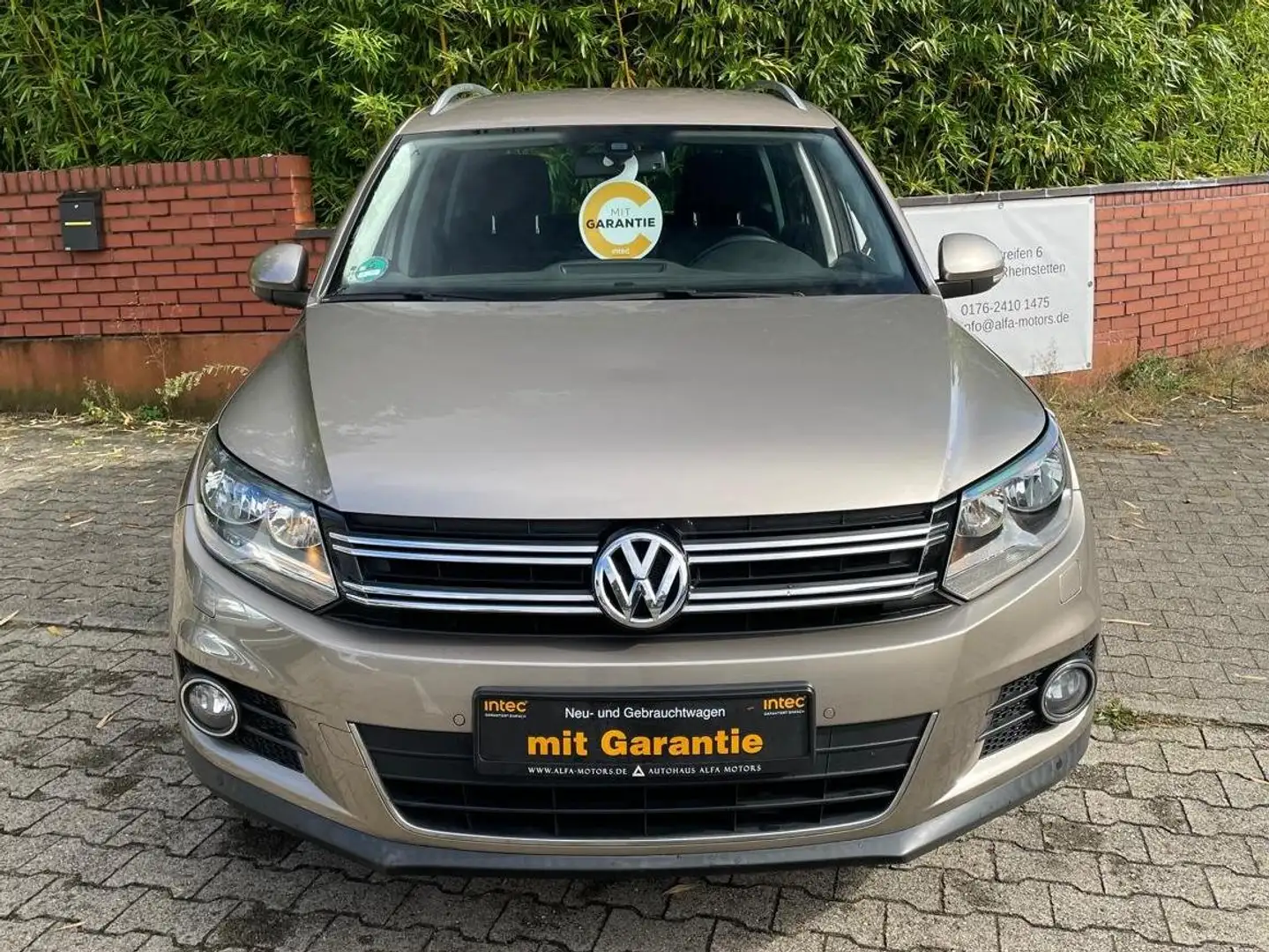 Volkswagen Tiguan Cup Sport // Automatik // TÜV und Inspek. neu / Beige - 2