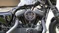 Harley-Davidson Sportster Forty Eight Custom Zwart - thumbnail 20