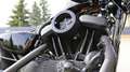 Harley-Davidson Sportster Forty Eight Custom Siyah - thumbnail 9