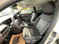 Jeep Avenger 1.2 turbo fwd 100cv SUMMIT LED/C18/PREZZO REALE Bianco - thumbnail 11