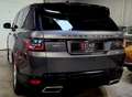 Land Rover Range Rover Sport Range Rover Sport Mark VI TDV6 3.0L 258ch HSE Grau - thumbnail 6