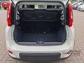 Fiat Panda MY24 Hybrid KomfortPaket Bluetooth Apple CarPlay A Weiß - thumbnail 5