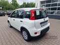 Fiat Panda MY24 Hybrid KomfortPaket Bluetooth Apple CarPlay A Weiß - thumbnail 3