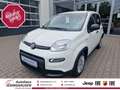 Fiat Panda MY24 Hybrid KomfortPaket Bluetooth Apple CarPlay A Weiß - thumbnail 1