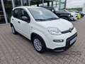 Fiat Panda MY24 Hybrid KomfortPaket Bluetooth Apple CarPlay A Weiß - thumbnail 8