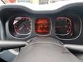 Fiat Panda MY24 Hybrid KomfortPaket Bluetooth Apple CarPlay A Weiß - thumbnail 14