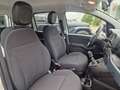 Fiat Panda MY24 Hybrid KomfortPaket Bluetooth Apple CarPlay A Weiß - thumbnail 17