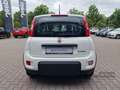 Fiat Panda MY24 Hybrid KomfortPaket Bluetooth Apple CarPlay A Weiß - thumbnail 4