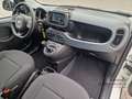 Fiat Panda MY24 Hybrid KomfortPaket Bluetooth Apple CarPlay A Weiß - thumbnail 16