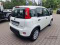 Fiat Panda MY24 Hybrid KomfortPaket Bluetooth Apple CarPlay A Weiß - thumbnail 6
