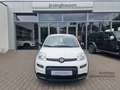 Fiat Panda MY24 Hybrid KomfortPaket Bluetooth Apple CarPlay A Weiß - thumbnail 9