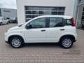 Fiat Panda MY24 Hybrid KomfortPaket Bluetooth Apple CarPlay A Weiß - thumbnail 2