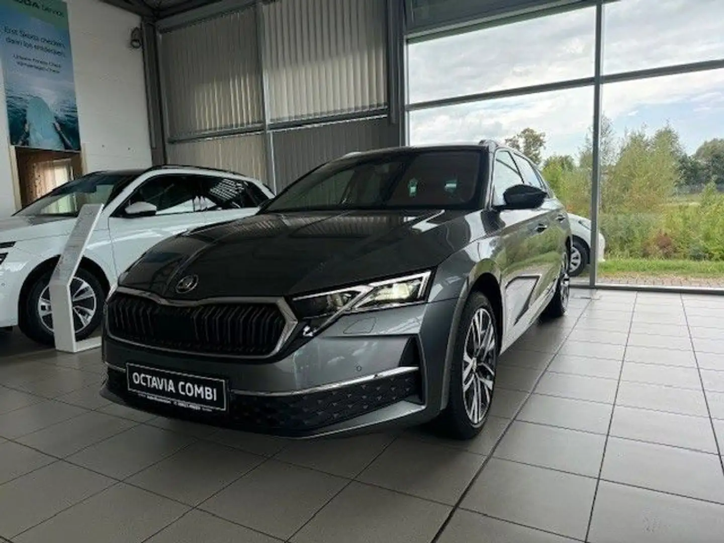 Skoda Octavia Combi Selection Grau - 1