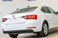 Skoda Superb Ambition 1.4 TSI iV P-HEV DSG Blanco - thumbnail 29