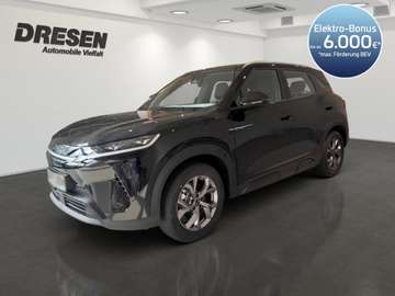 Active/LED/Panorama/Navi/Leder/Rückfahrkamera/Abst