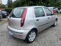Fiat Punto 1.2 5 porte Actual Grigio - thumbnail 4