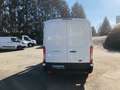 Ford Transit Kasten 2,0 EcoBlue L2H2 290 Startup Білий - thumbnail 6