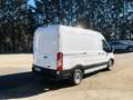 Ford Transit Kasten 2,0 EcoBlue L2H2 290 Startup Білий - thumbnail 5