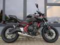 Kawasaki Z 650 Z 650 - neu - 4 Jahre Garantie - mehrere Farben - thumbnail 3