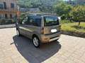 Fiat Panda Panda II 2003 1.3 mjt 16v Cross 4x4 75cv Bronzo - thumbnail 1