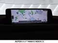 Mazda CX-30 2.5 140 6AT FWD Exclusive-line ACC 360 BOSE Blau - thumbnail 10