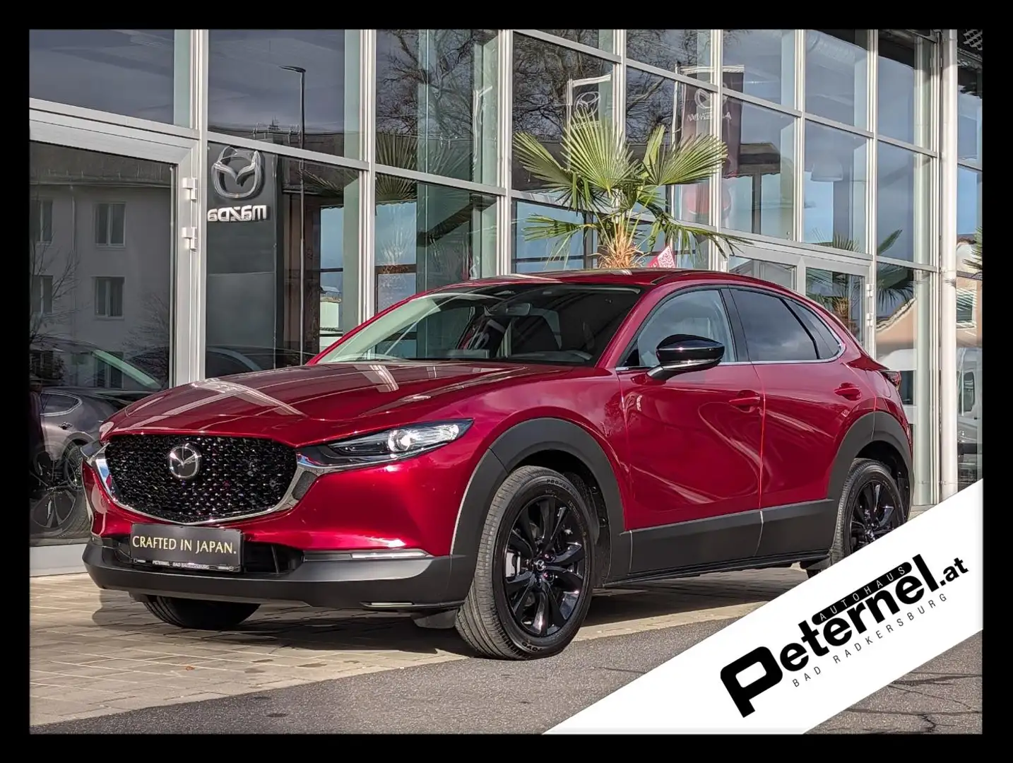 Mazda CX-30 2.5 G140 HOMURA CarPlay DAB Rot - 1