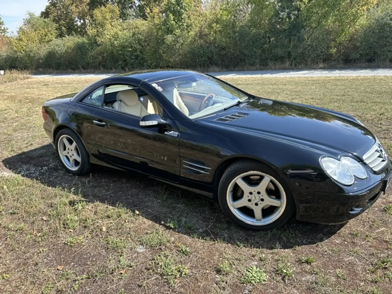 Mercedes-Benz SL 500 Roadster Aut., foto 3