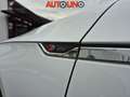 Audi A5 A5 40 TFSI S tronic S line edition Weiß - thumbnail 2