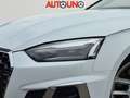Audi A5 A5 40 TFSI S tronic S line edition Weiß - thumbnail 18
