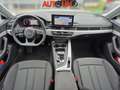 Audi A5 A5 40 TFSI S tronic S line edition Weiß - thumbnail 13