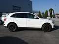 Audi Q5 2.0 TFSI 155 kW quattro Weiß - thumbnail 5