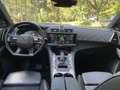 DS Automobiles BHDi180 Business Line-Leder-AHK Blau - thumbnail 14
