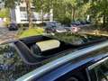 DS Automobiles BHDi180 Business Line-Leder-AHK Blau - thumbnail 12