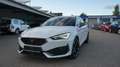 CUPRA Leon Sportstourer 1.4 e-Hybrid !! Keyless !! SEAT !! Blanco - thumbnail 1