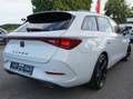 CUPRA Leon Sportstourer 1.4 e-Hybrid !! Keyless !! SEAT !! Blanco - thumbnail 6