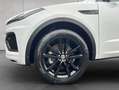 Jaguar E-Pace D200 AWD R-Dynamic SE 150 kW, 5-türig (Dies bijela - thumbnail 14