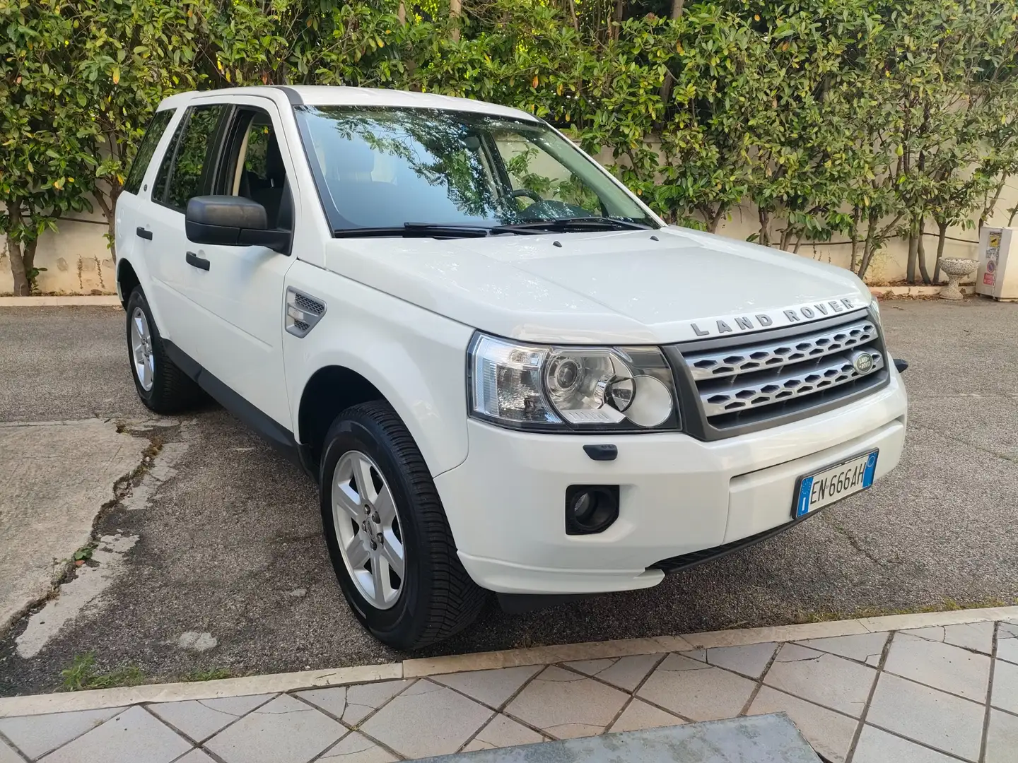 Land Rover Freelander 2.2 TD4 S.W. S Bianco - 2