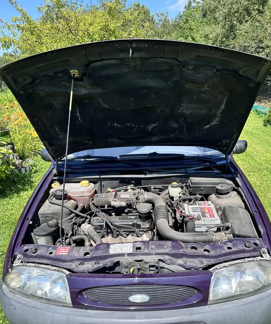 Ford Fiesta Fiesta Focus Blu/Azzurro - 1