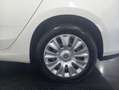 Fiat Tipo 1.3 Multijet II Business Blanco - thumbnail 29