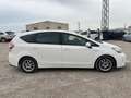 Toyota Prius+ TOYOTA Prius+ Eco Blanco - thumbnail 10