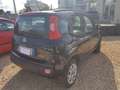 Fiat New Panda 0.9 twin air metano Nero - thumbnail 6