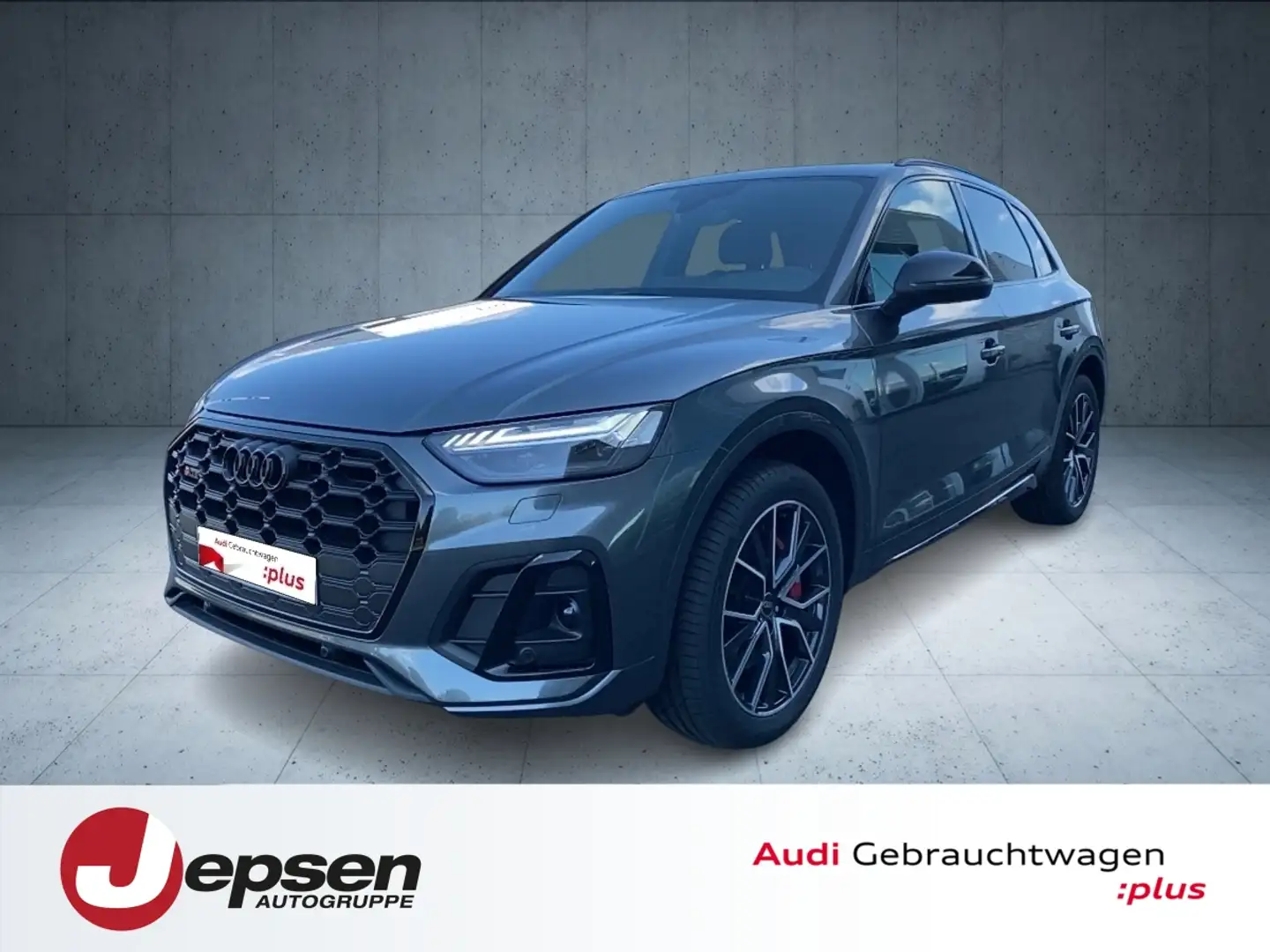 Audi SQ5 TDI tiptr. Matrix PANO Stzdhzg. AHK 20´ Grau - 1