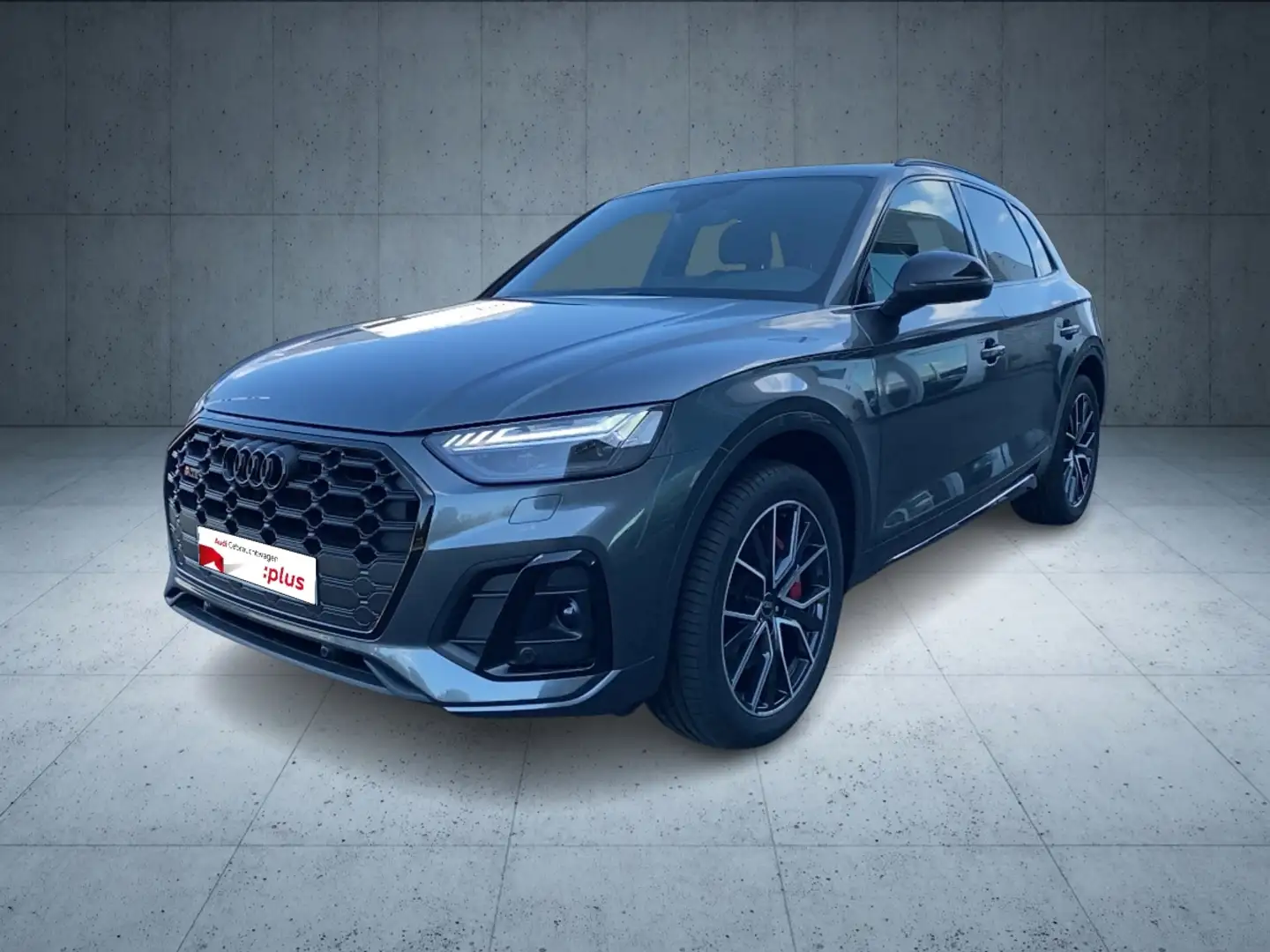 Audi SQ5 TDI tiptr. Matrix PANO Stzdhzg. AHK 20´ Grau - 2