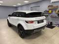 Land Rover Range Rover Evoque Range Rover Evoque I 2011 5p 2.2 sd4 Dynamic 190cv Bianco - thumbnail 6