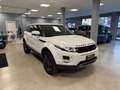 Land Rover Range Rover Evoque Range Rover Evoque I 2011 5p 2.2 sd4 Dynamic 190cv Bianco - thumbnail 3