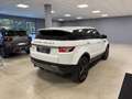 Land Rover Range Rover Evoque Range Rover Evoque I 2011 5p 2.2 sd4 Dynamic 190cv Bianco - thumbnail 4